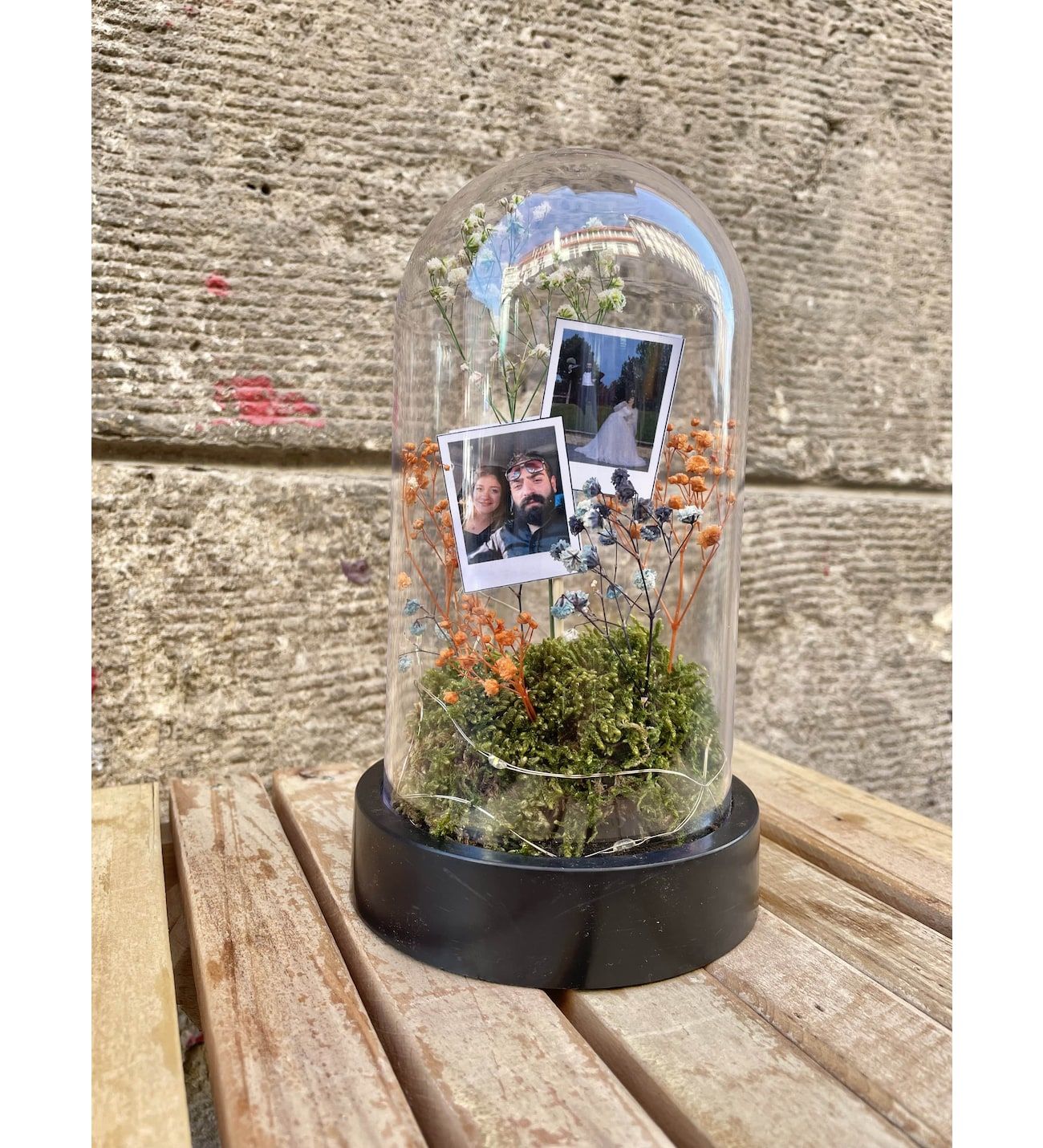 Ters Fanus Teraryum Peri Ledli Foto Fanus Bahçesi