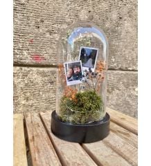 Ters Fanus Teraryum Peri Ledli Foto Fanus Bahçesi