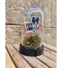 Ters Fanus Teraryum Peri Ledli Foto Fanus Bahçesi